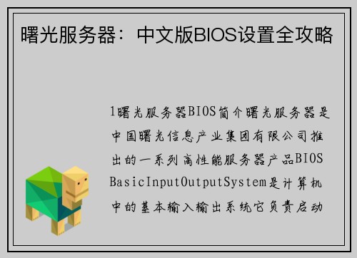 曙光服务器：中文版BIOS设置全攻略